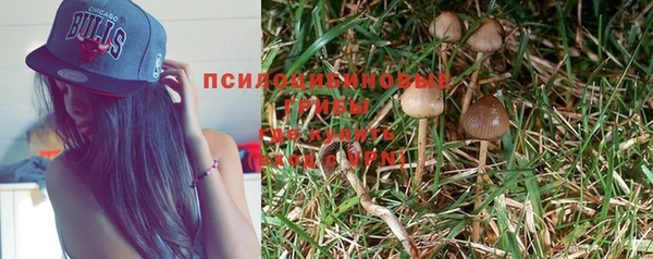 синтетический гашиш Киреевск