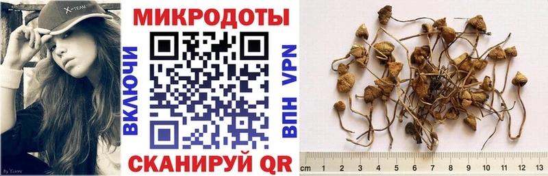 Галлюциногенные грибы Psilocybe  Купить закладки  Жиздра 