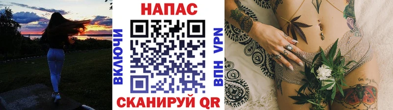 Марихуана планчик  Купить где  Жиздра 