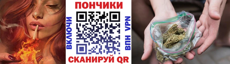 Шишки марихуана Bruce Banner Жиздра